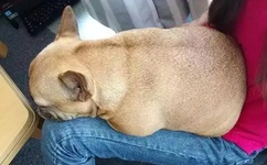 先锋资源2019最新稳定